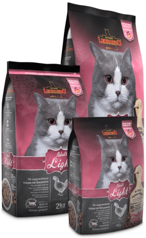 Leonardo light